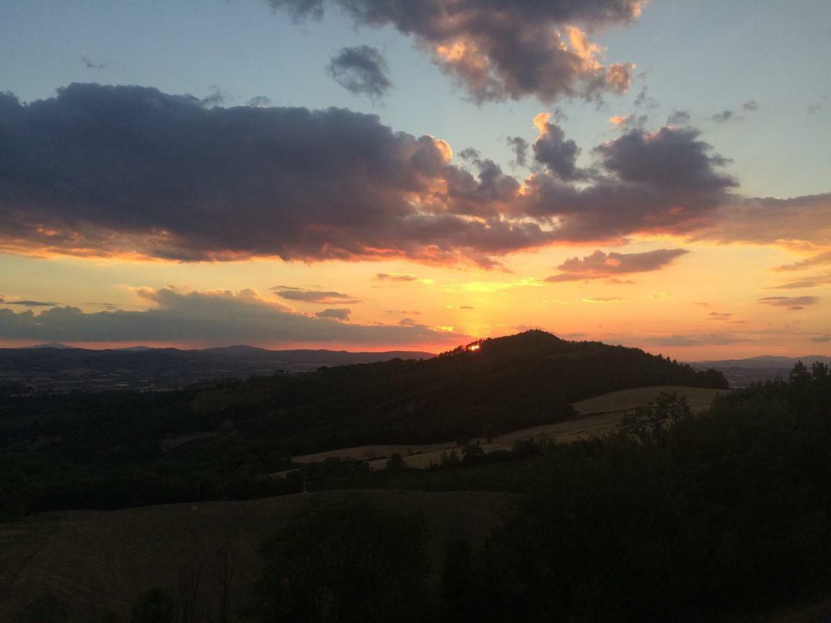 Apartamento Umbria, "Casa Sagrantina" Con Piscina E Pergolato Collazzone Exterior foto